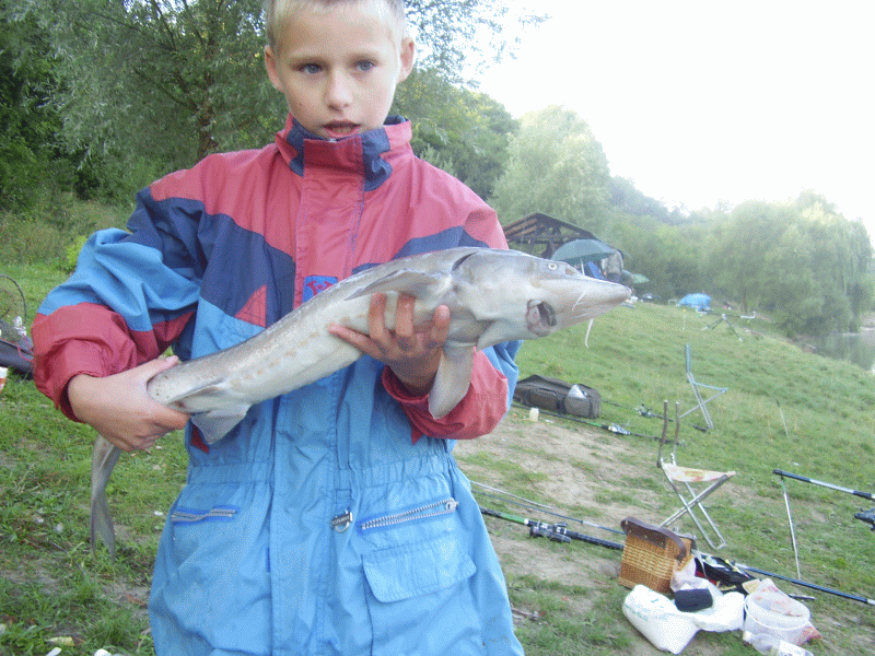 P8290319.gif