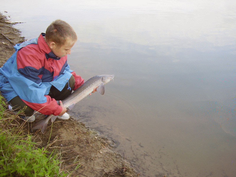 P8290320.gif
