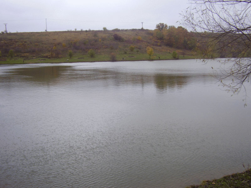 PA260011.gif
