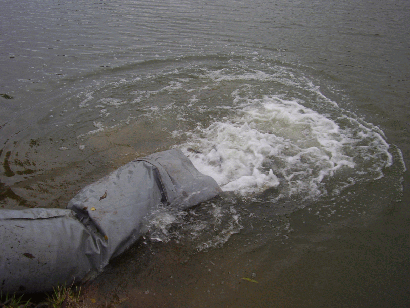 PA260020.gif