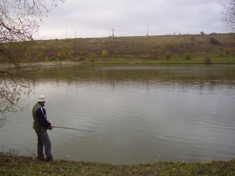 PA260024.gif